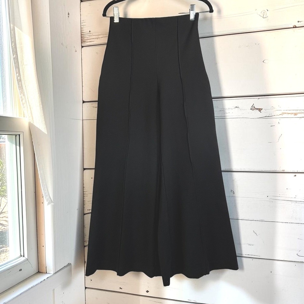 Extreme Wide Leg Pants Quince M Black Pintuck Ponte Minimalist Capsule Office